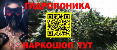 спиды Будённовск