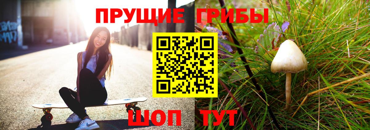 Псилоцибиновые грибы MAGIC MUSHROOMS  Вход с VPN  Усть-Джегута 